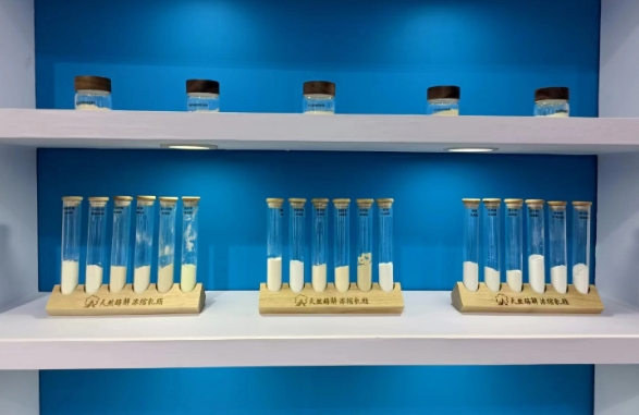 FIC2024圆满收官 ，柳爱科技展后回顾，期待与您来年再见！